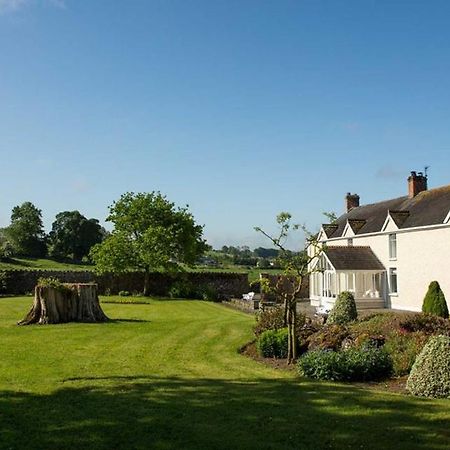O'Briens Cashel Lodge Zewnętrze zdjęcie